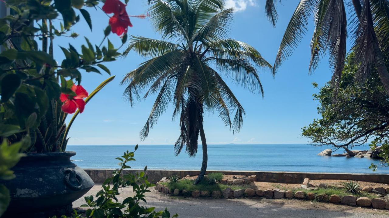 La Petite Maison And Sea Splash Baie Sainte Anne Esterno foto